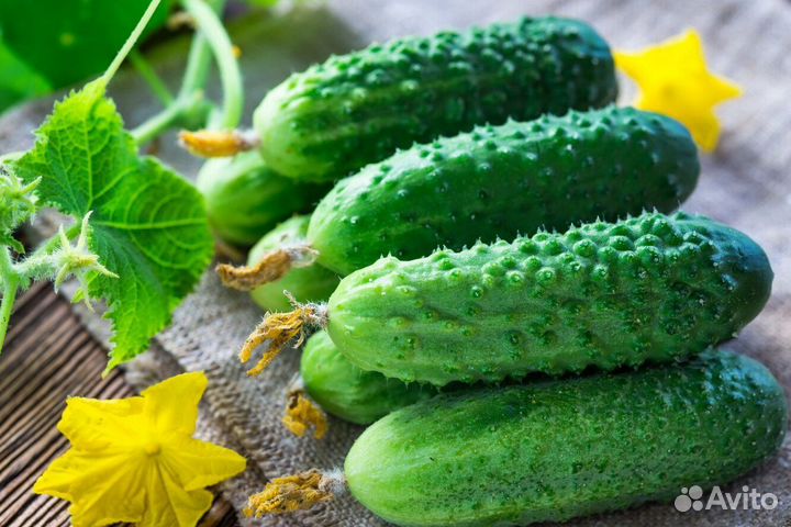 Огурцы домашние без химии