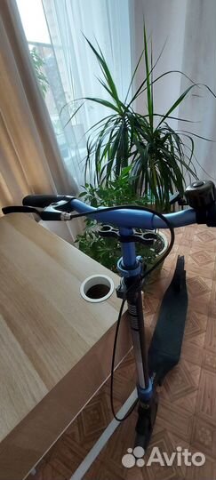 Двухколёсный самокат Globber