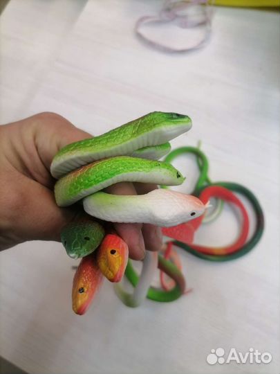 Змеи и рептилии