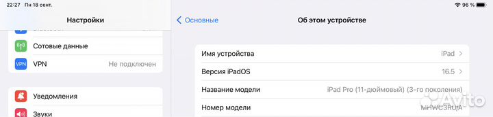 Apple iPad pro 11 2021 Russia 1 tb sim