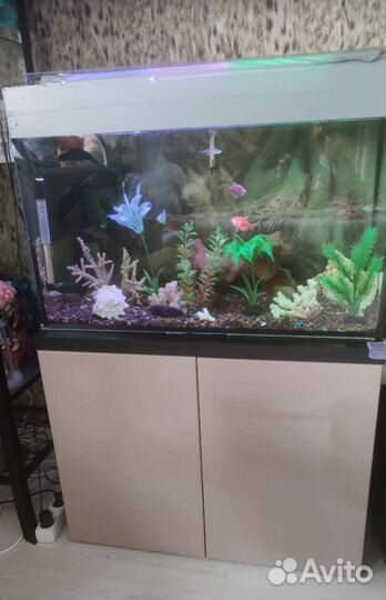 Полностью оборудованный аквариум на 100 литров