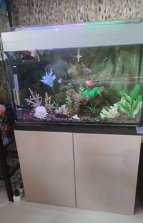 Полностью оборудованный аквариум на 100 литров