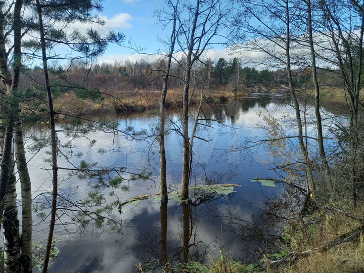 Участок 7,5 сот. (ИЖС)