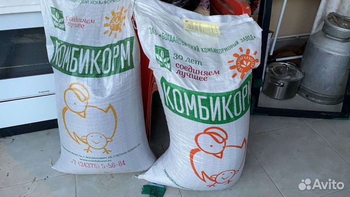 Цыплята, Бройлеры