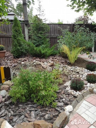 Кора сосновая