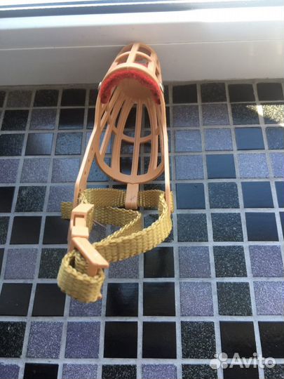 Намордник для той терьера