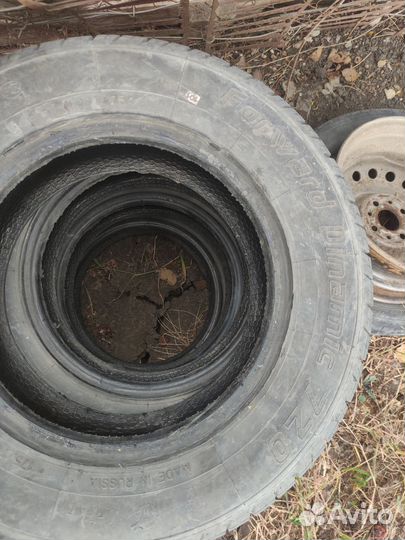 Forward Dinamic 720 175/70 R13