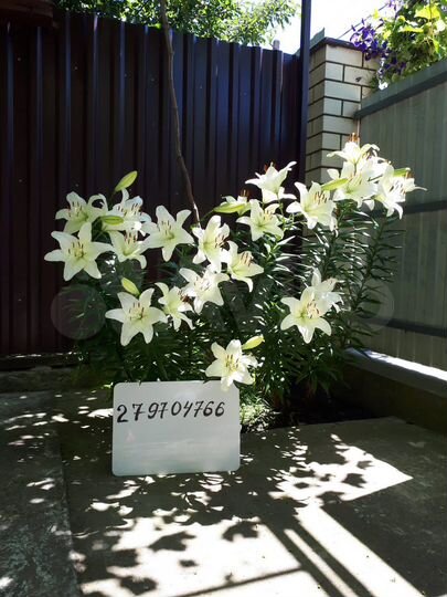 Комната 15 м² в 1-к., 1/1 эт.