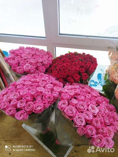 101 роза 70 см и 51 роза 70 см