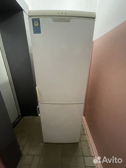 Холодильник candy 170 см доставка