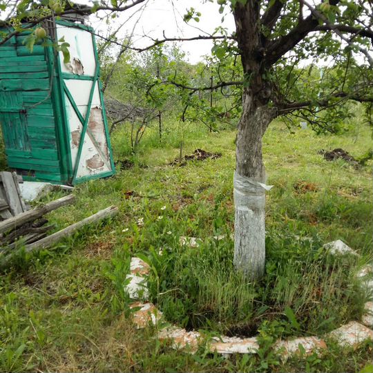 Участок 6 сот. (СНТ, ДНП)