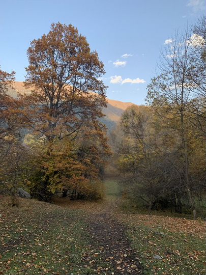 Участок 2,5 га (ИЖС)