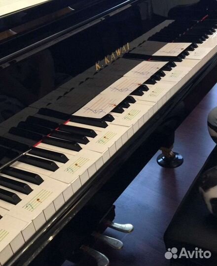 Репетитор по фортепиано, сольфеджио, вокалу