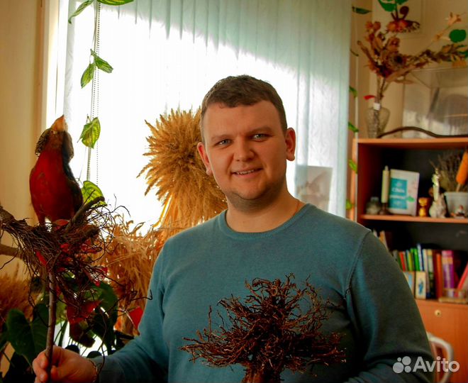 Репетитор по химии и биологии егэ/огэ