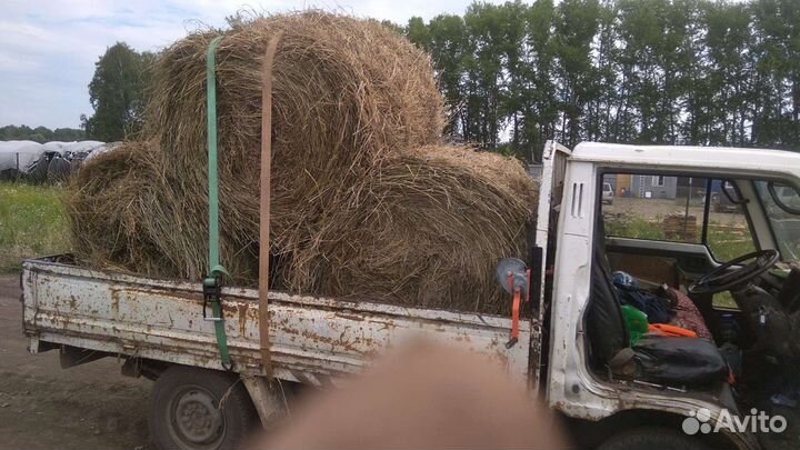 Сено солома