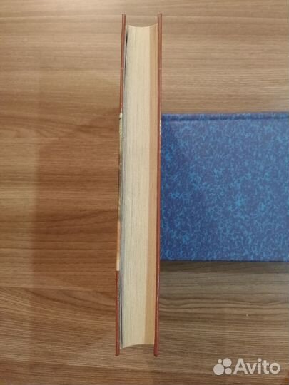 Книга Идиот фм Достоевский