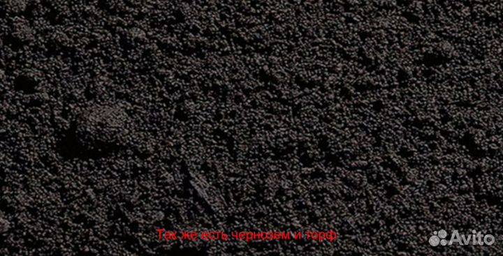 Чернозем торф перегной ЗИЛ камаз