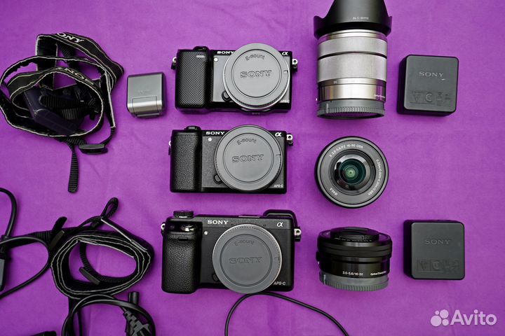 Sony NEX 5R. Sony A5100. Sony NEX 6