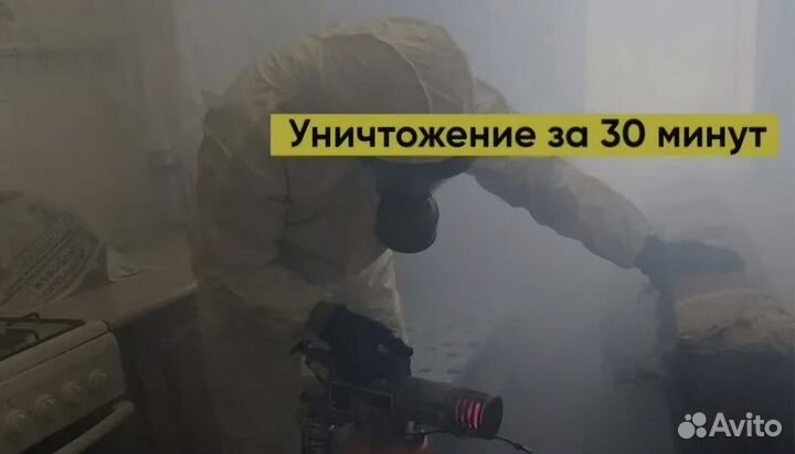 Уничтожение Тараканов Клопов Блох Плесени Мышей