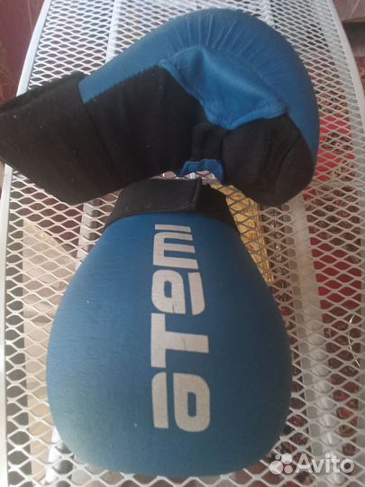 Лапа для единоборств