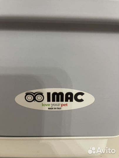 Попугай розелла