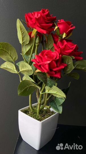 Ботанический копии роз