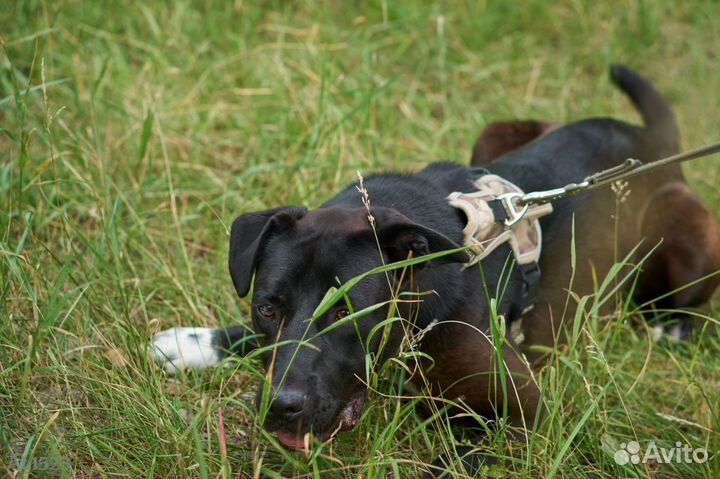 Нежный и робкий мальчик