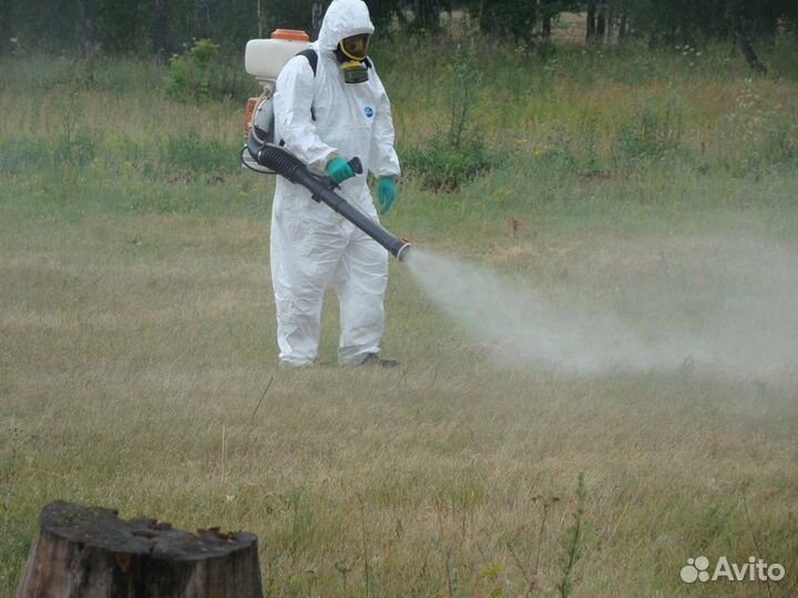 Уничтожение Клопов Тараканов Блох Плесени Ос