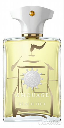 Amouage Beach Hut Man 100 ml - парфюмерная вода