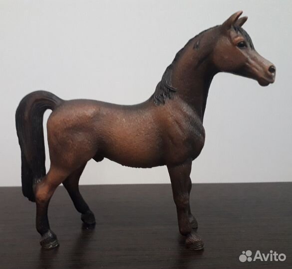 Редкие лошади Шляйх