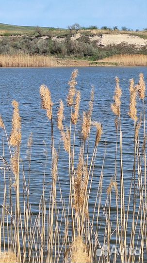 Земельный участок с озером