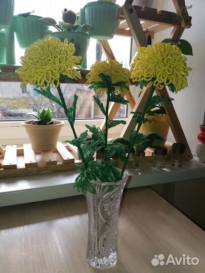 Хризантемы