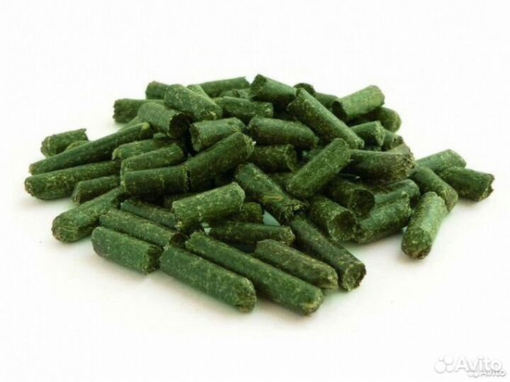 Мини-гранулятор мод. R-Type 200В