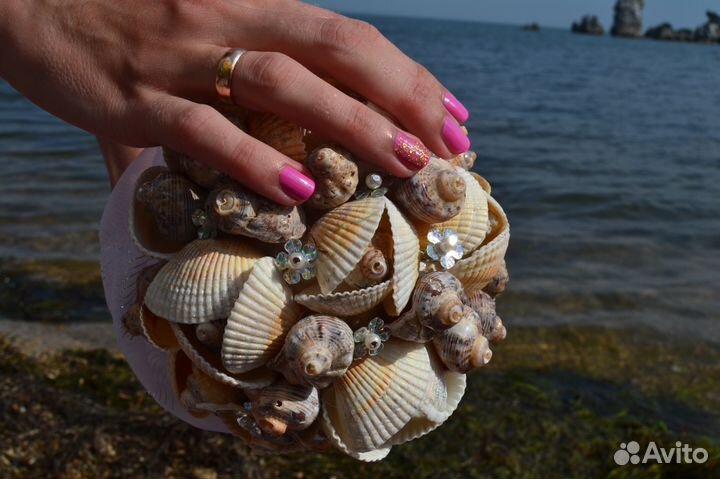 Ракушки морские Скафарка, Рапан