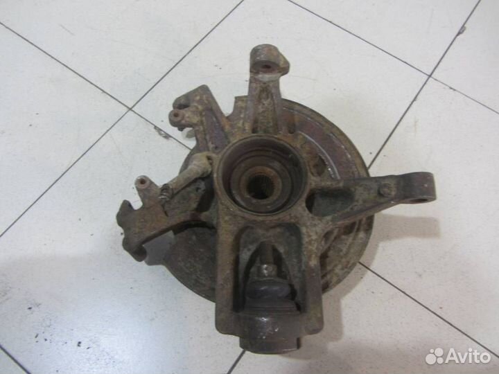 Кулак задний правый