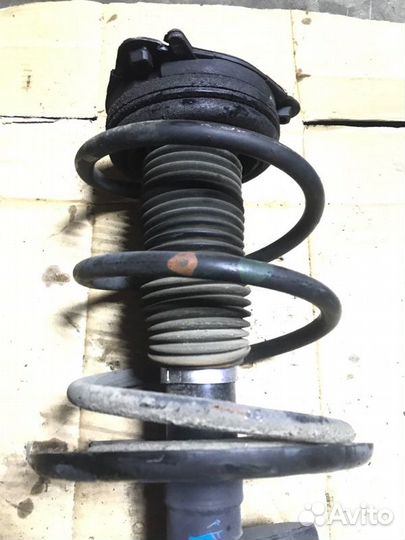 Амортизатор передний левый Nissan Teana J32 2.5