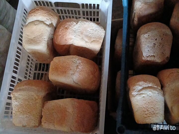 Хлеб на корм скоту