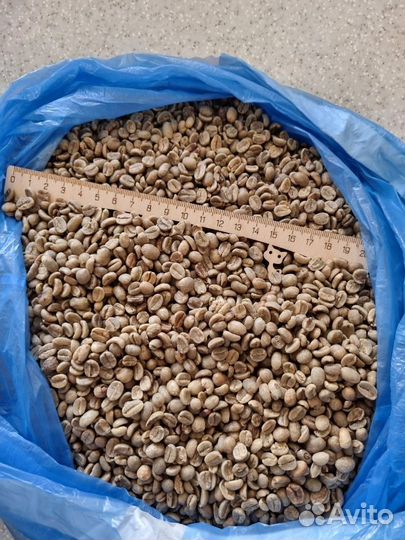 Зеленый кофе Робуста Уганда