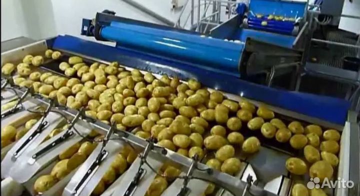 Упаковщица на овощи