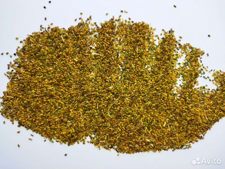 Семена люцерны