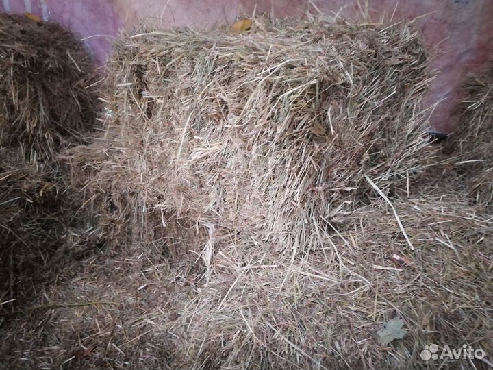 Сено в тюках