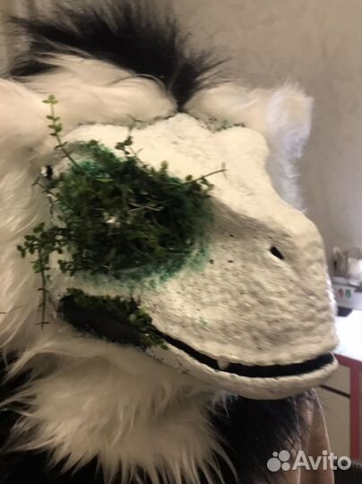 Маска раптор