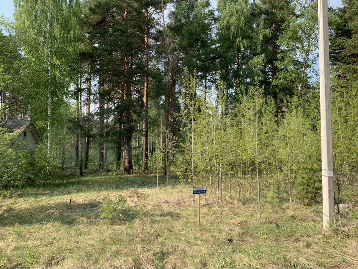 Участок 8 сот. (ИЖС)