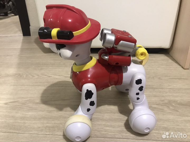 Щенячий patrol Маршал