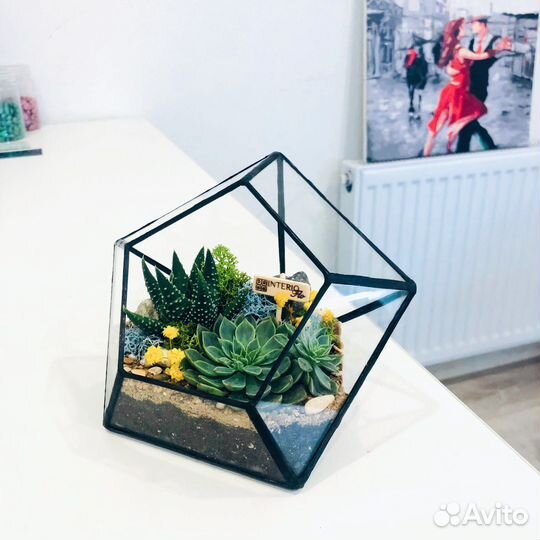 Флорариум суккулентами