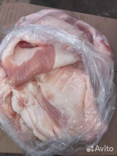 Сало Свинина свежее.(шпик)