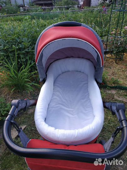 Коляска adamex neonex 2в1