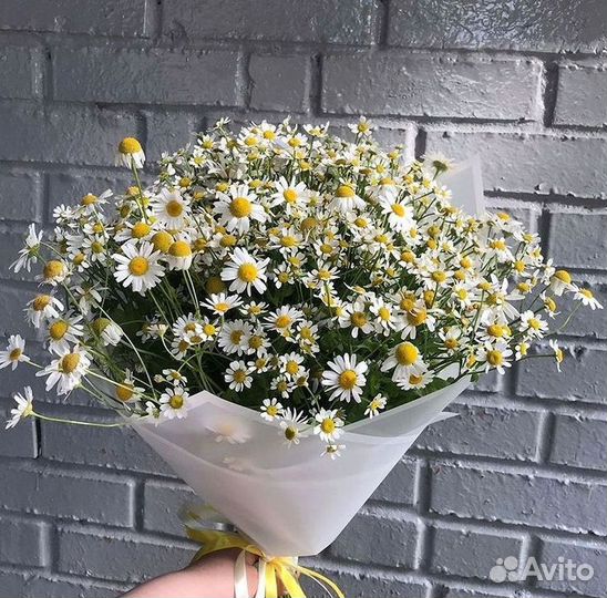 Букеты ромашек