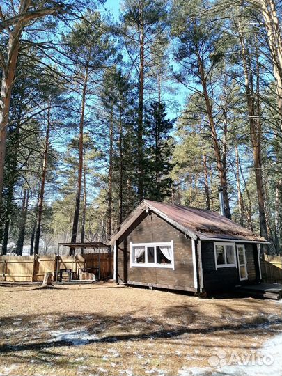 Аренда беседки