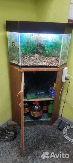 Аквариум с тумбой бу